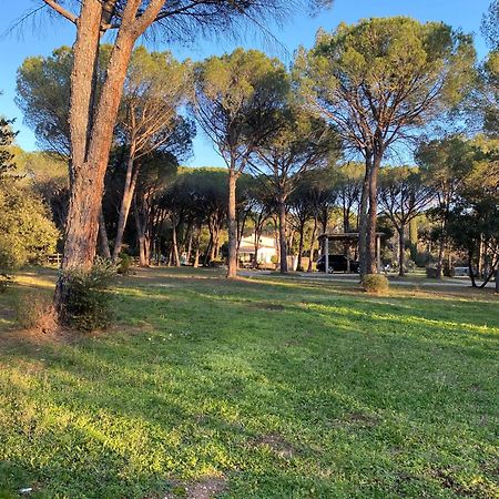 Residence Gabrielle Le Cannet Des Maures Exterior foto
